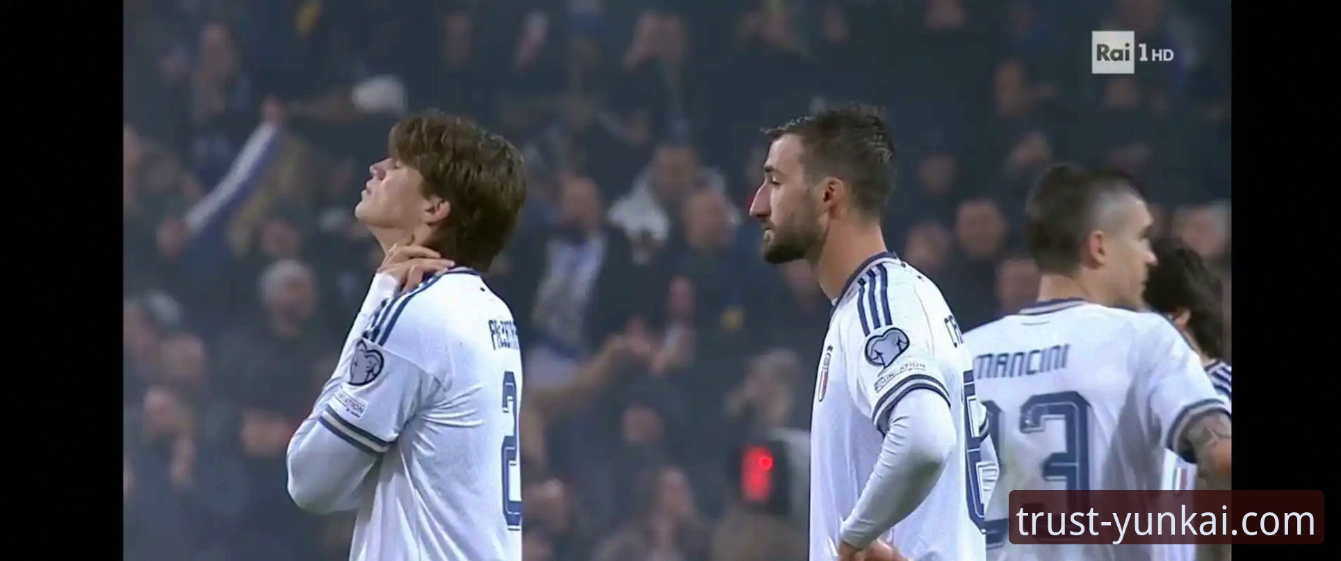 蓝衣军团再陷泥潭，意大利连续三届无缘世界杯的最新动态